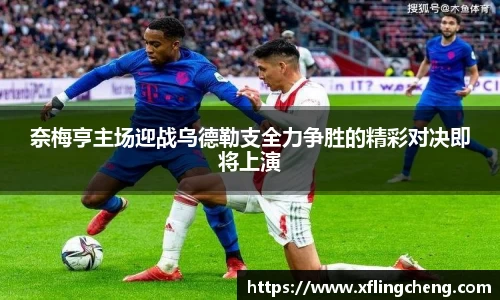 谈球吧
